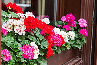 《使命召唤19》联动《黑袍》预告 祖国人星光玄色加入